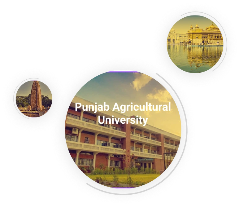 top colleges in Punjab