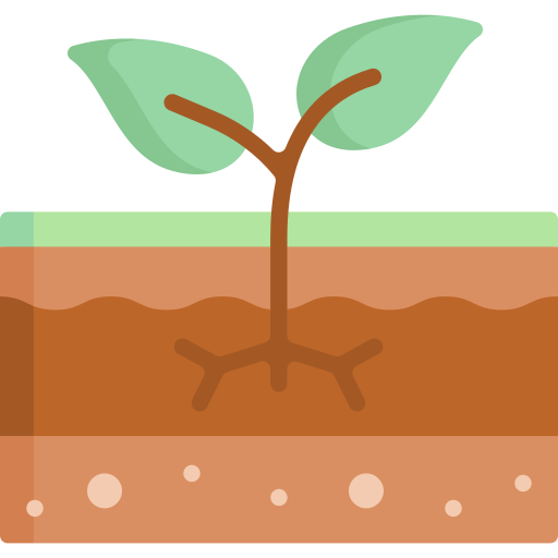 demo image