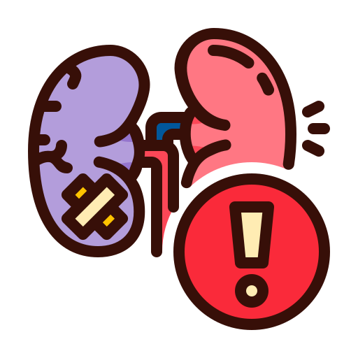Kidney Health Estimator