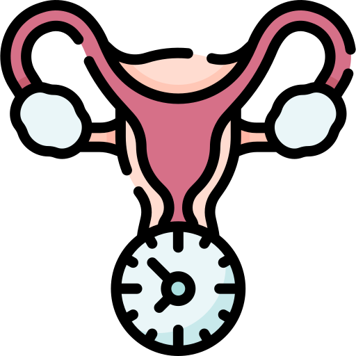 Menopause Symptom Tracker
